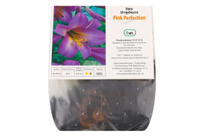 Цибулина Лілія ЛО Пінк Перфекшн трубчаста Яскрава