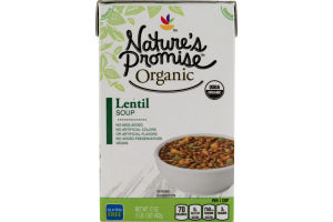 Nature's Promise Soup Lentil