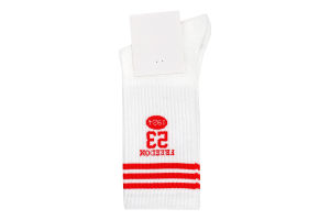 Шкарпетки чоловічі з смужками класичні Ningbo Union Point Imp&Exp Co. Ltd №FHF24111621 38-45 в асорт