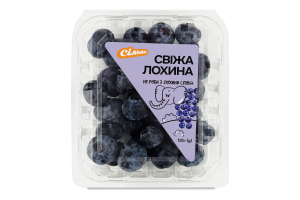 Лохина Сільпо