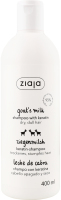 Шампунь для волос Козье молоко Ziaja 400мл
