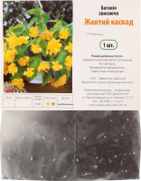 Бульба Бегонія Жовтий каскад звисаюча Яскрава