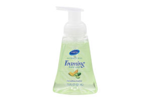 CareOne Antibacterial Foaming Hand Soap Cucumber/Melon