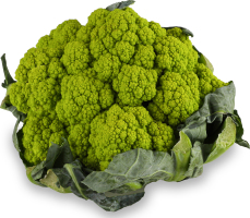 Капуста Цвітна ВВ