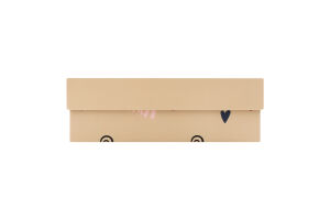 Коробка подарункова Чарівна країна 12*18*6см НК-83 Екстрафікс