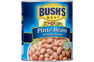 BUSH'S BEST Pinto Beans