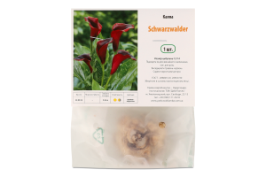 Цибулина Калла Шварцвальдер Яскрава