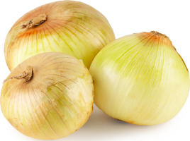 Цибуля рання Українська