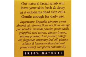 Burt's Bees Citrus Facial Scrub