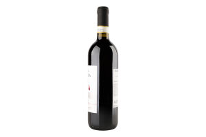 Вино 0.75л 13% красное сухое виноградное DOCG Кьянти Terra Italianica бут