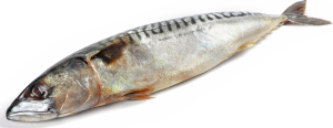 Скумбрия слабосоленая  