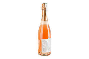 Вино 0.75л 10.5% розовое сухое Spumante Secco Rosato Provetto бут