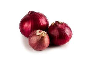 Цибуля синя рання В*