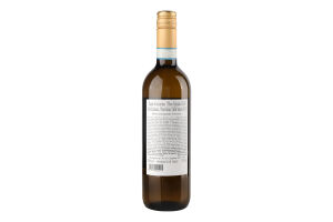 Вино 0.75л 12% біле сухе DOC Піно Гріджіо Terra Italianica пл