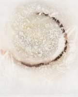 Булочка в глазурі зі смаком кокосу ТОВ КВФ Рома м/у 0.1кг