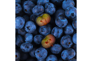 Лохина Orniberry