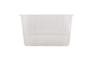 Лоток д/ягід 1л прозорий з отворами ЗРостай