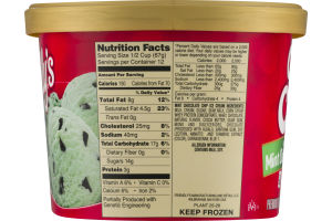 Friendly's Premium Ice Cream Mint Chocolate Chip