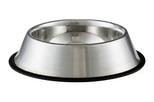 Companion Stainless Steel Bowl