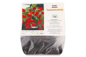 Цибулина Бегонія Червоний каскад звисаюча Яскрава