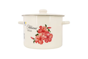 Каструля 5,5л емальована з кришкою артI1617/2 Ідилія