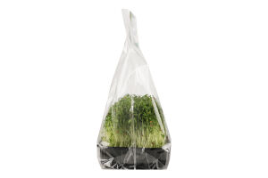 Мікрозелень Green Farm кінза