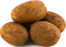 Картопля Мелоді