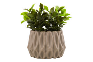 Вазон декоративний з рослиною призматичний 18*10*10см в асортименті BMG