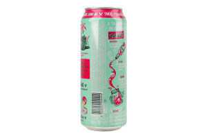 Пиво специальное 480мл 4.4% пастеризованное Taste Pineberry and mint Seth&Riley's Garage ж/б