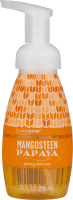 CareOne Foaming Hand Soap Mangosteen Papaya