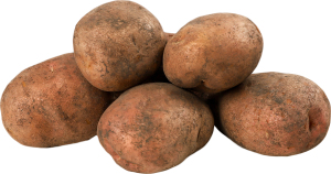 Картофель Беллароса