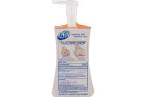 Dial Complete Foaming Antibacterial Hand Wash Sea Berries