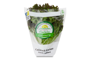 Салат свіжий Лолло Росса Galicia Greenery 1шт