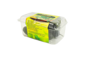 Огурцы свежие тепличные ТОВ Тепличний комбінат "Західний" 450г п/у