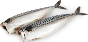 Сумбрія пряного посолу охол. ваг