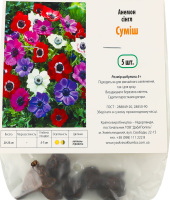 Бульба Анемон сінгл суміш 5шт Яскрава
