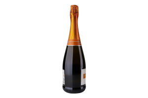 Вино игристое 0.75л 11.5% белое сладкое Dolce Dimmito бут