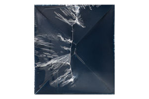 Омар Delfin Лобстер Американський сирий заморож