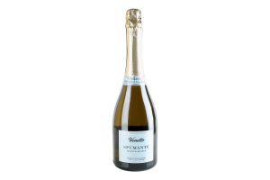 Вино ігристе 0.75л 11% біле екстрасухе Blanc de Blancs Spumante Venetto пл