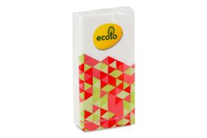 Платочки бумажные носовые 2-х слойные 19х20см Ecolo 9шт