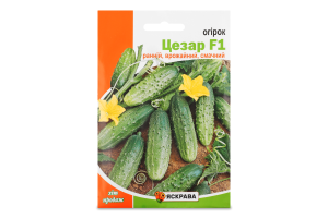 Насіння Огірок Цезар F1 2,5г Яскрава
