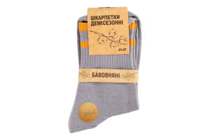 Шкарпетки чоловічі з смужкою класичні демісезонні р.40-45 ГМ Текстайл