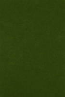 Фетр жорсткий 1мм 20x30см A28-оливк D001-A-R01-C1