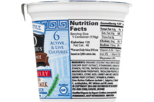So Delicious Dairy Free Cultured Coconut Milk Greek Style Strawberry