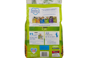 Purina Cat Chow Cat Food Indoor + Immune Health Blend