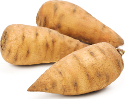 Корінь Кервеля