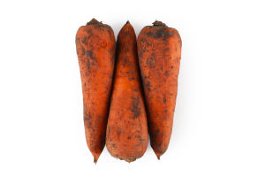 Морковь молодая