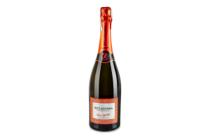Вино ігристе 0.75л 11.5% біле сухе For Spritz Riccadonna пл