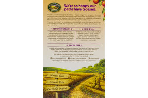 Nature's Path Organic Mesa Sunrise Cereal