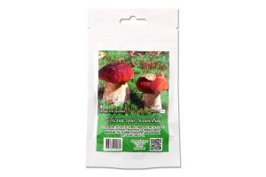 Міцелій Гриб білий ялиновий 50г Яскрава